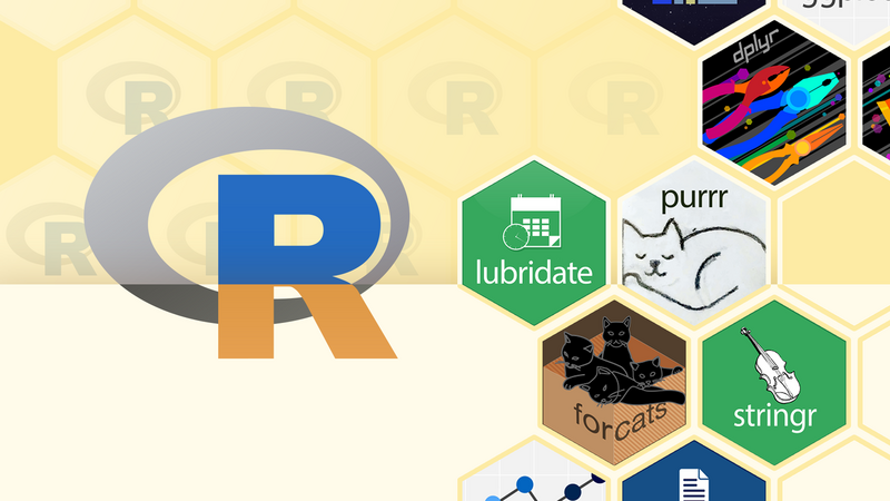 I Use Python, but I’m Learning R and the Tidyverse for Data Analysis Too