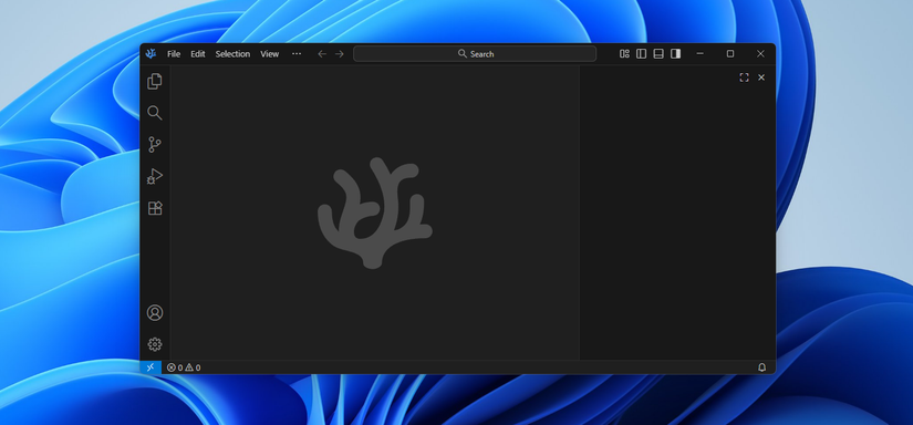VSCodium open on Windows 11 with the Windows 11 background visible.