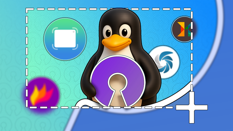Why Do Some Open-Source Apps Get Multiple Updates Every Day?