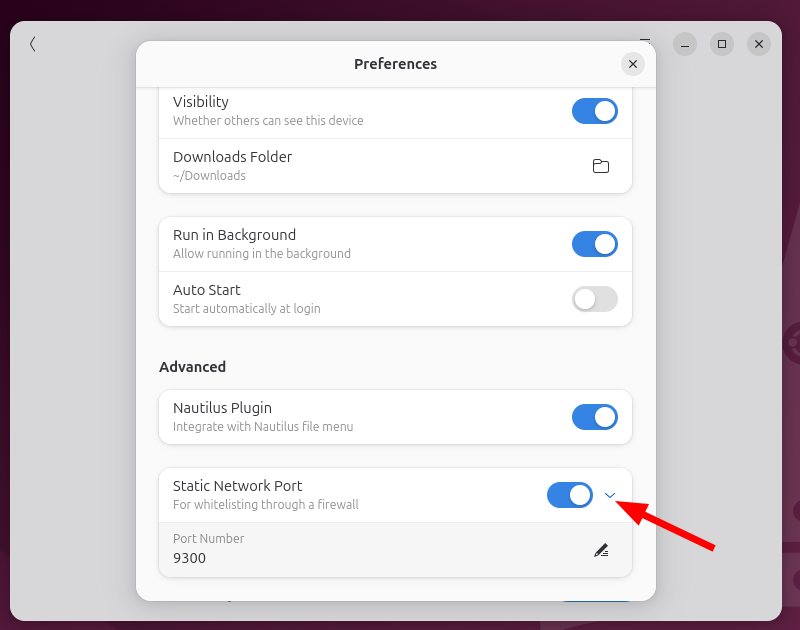 Enabling static networking port on Packet Linux Client
