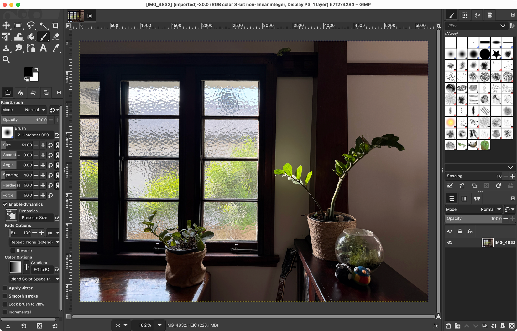 Editing an HEIC file in GIMP on a Mac.